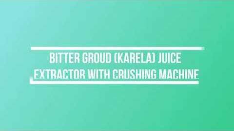Bitter Groud (Karela) Juice Extractor with Crushing Machine by Geeli Fabricators, Ahmedabad
