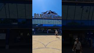Аквапарк "Золотой пляж" Анапа 2025 цены