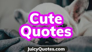 Top 15 Cute Quotes and Sayings 2020 - (Cutest Love Quotes)