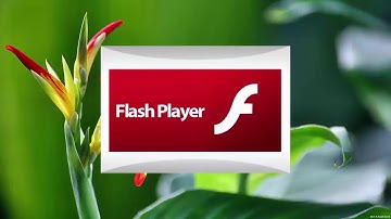 How To Enable Adobe Flash Player When Adding Sites On Settings Not An Option For 2019