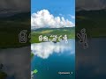 قل لن يصيبنا الّا ما كتب الله لنا | سورة التوبة | ياسر الدوسري | تصميمي 🍀