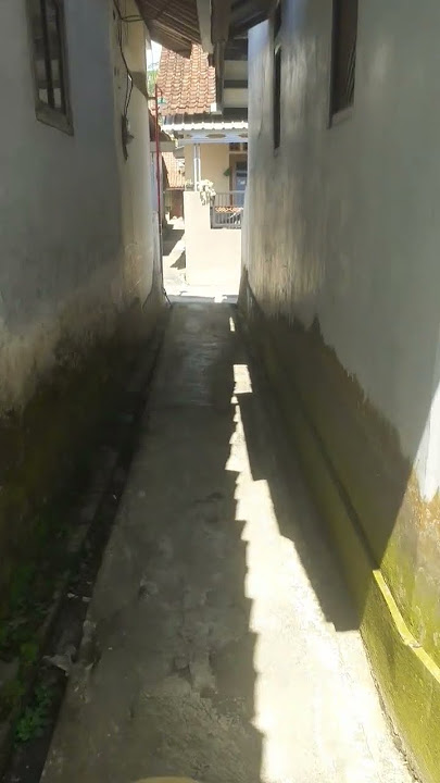 NENULUSURI GANG DAMAI