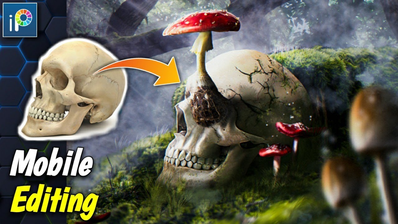 Living Mushroom Eat Dead People Ibis Paint X YouTube