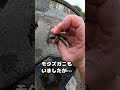 川の遊び方