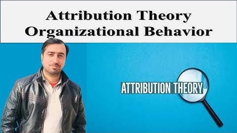 Attribution Theory in Organizational Behavior