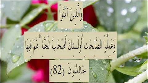 القران الكريم سورة البقرة الاية 82