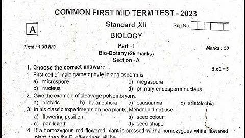 12th std Biology First mid term Question paper 2024