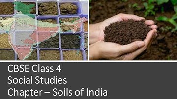 CBSE Class 4 | Social Studies | Soils of India |Types of Soils in India