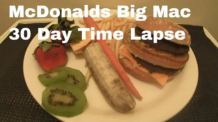 McDonalds Big Mac 30 Day Time Lapse EXPERIMENT!