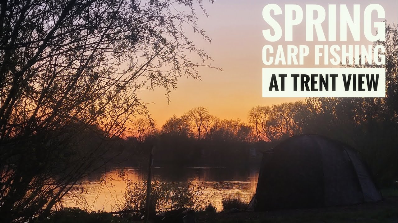 spring carp fishing at trent view how did we get on? - YouTube