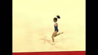 [HDp50] North Korea Floor Team Qualifications @ 2006 Aarhus World Championships