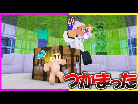 起きたら体が小さくなっていた🥶薬をうばって大人にもどれ💊【まいくら/マインクラフト】