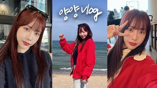 홍은지 Vlog ㅣ 웅지의 하하 호호 양양 여행기!! ㅣ 양양🐑🐑