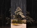 힐링 빗소리 뮤직 Healing rain sound, music 백색소음 ASMR | rain sounds