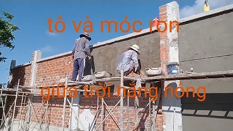 Tô và móc ron cho tường rào