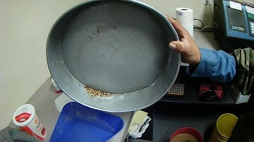 Grading Soybean at the Mill