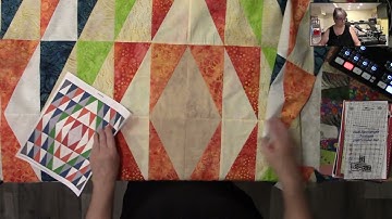 Another Day Another Share with Phyllis - Baby Quilt made using a Bloc Loc Ruler