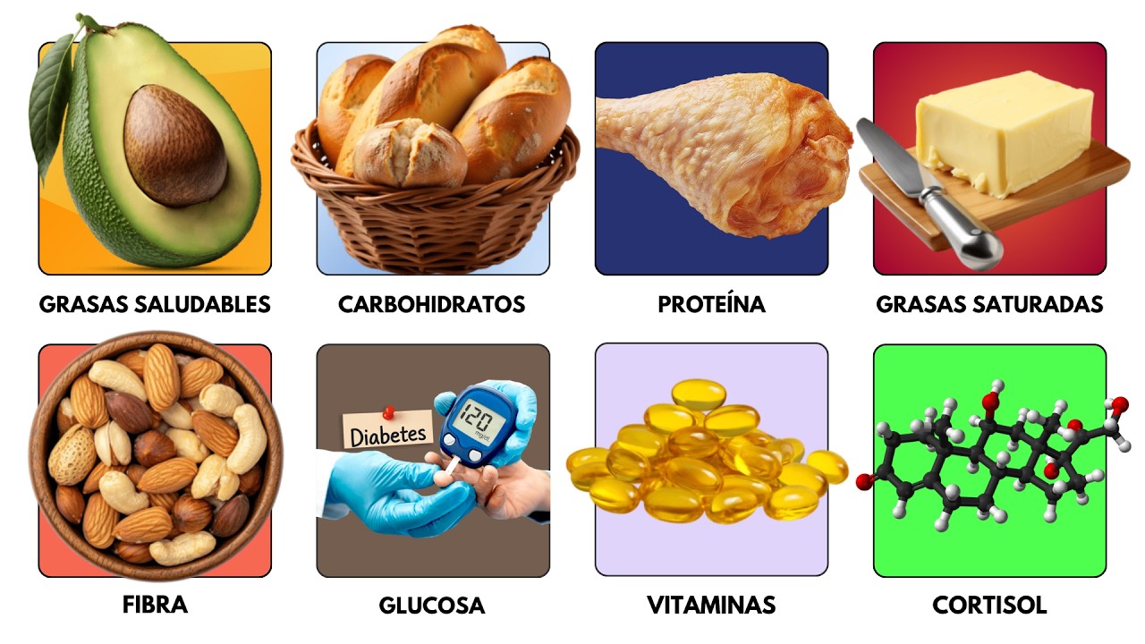 Toda La ciencia de la Nutrición explicada en 17 minutos (Sin Tonterías)