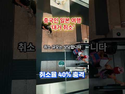 중국인 일본 여행 ‘대거 취소’…취소율 40% 충격 #중국일본 #일본여행 #항공편취소 #중국관광객 #국제정세