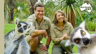 Nature's cutest acrobats | Australia Zoo Life