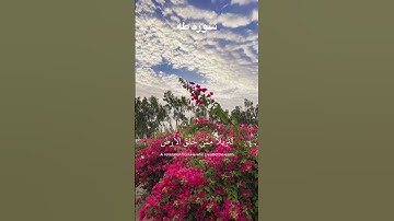 تلاوه رائعه من سوره طه 🕊️🤎#القرآن_الكريم #quran #religions  #qurantranslation #مصطفى_الزيات