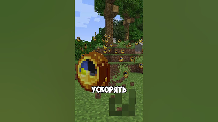 В МАЙНКРАФТ ДОБАВИЛИ ОСТАНОВКУ ВРЕМЕНИ ⌛ #minecraft #майнкрафт