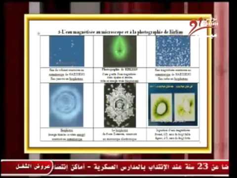 Đĩa năng lượng sinh hoc - Bio Disc2 - Qnet Viet Nam - IR: VN002905 - youtube