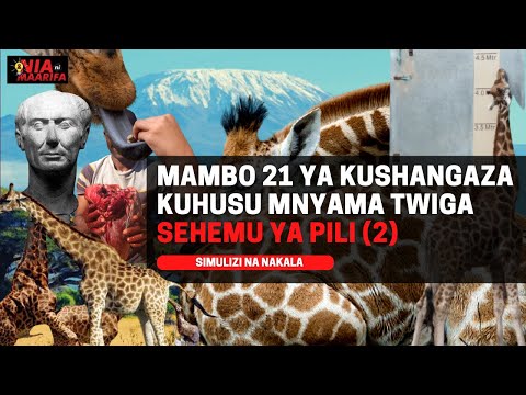 Video: Kuna Vivuli Vipi Vya Rangi Ya Waridi