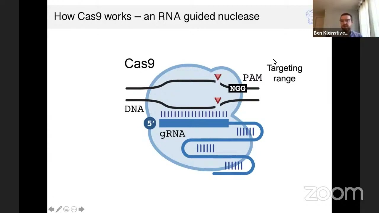 Scientist Stories: Benjamin Kleinstiver, Nucleases used for Gene Editing