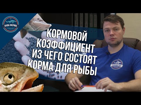 Кормовой коэффициент. Из чего состоят корма для рыбы (осетра)