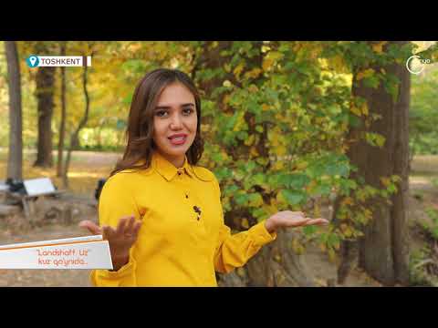 Video: Ko'chatlar Uchun Fevral Oyida Qanday Gullar Ekilgan