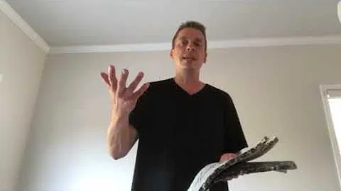 Which side of foam underlayment goes down?