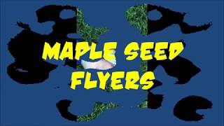 Maple Seed Flyers