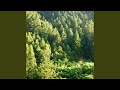 蒼ノキセキ (2026 Remastered)