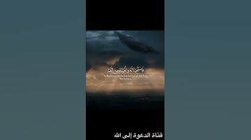 تلاوة جميلة وهادئة 🎼 | الشيخ صالح الانصاري