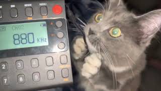 IPAWS/CAT weekly test (EAS #2026)