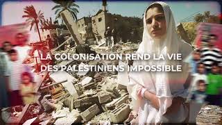 #StopColonies - Mettons fin au vol des terres en Palestine Resimi