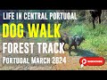 Life in Central Portugal- Dog Walk from our House into the forest - wonderful Portuguese countryside