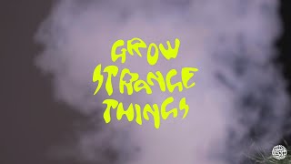 MUSHROOM LIVE S03 - GROW STRANGE THINGS : TEASER 2