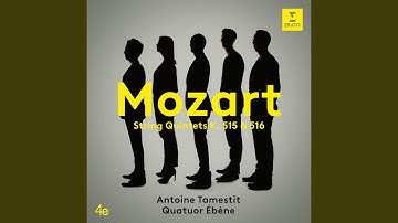 String Quintet No. 4 in G Minor, K. 516: IV. Adagio - Allegro