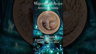 Animal Totems: The Pangolin - Magic, Dreams, Deities and More #animals #magic #pangolin #totem