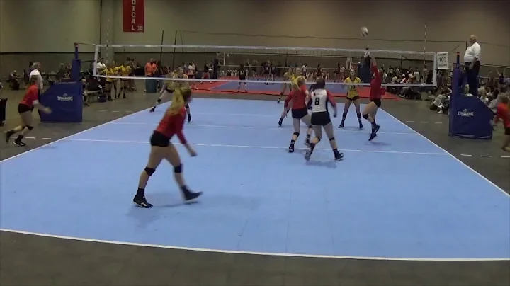 2019 - Middle Blocker - Hailey Frey #9