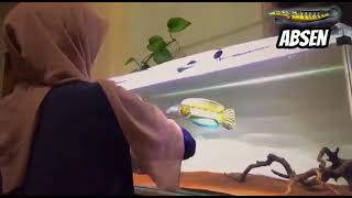 Uhkti Chantik Maen Chana