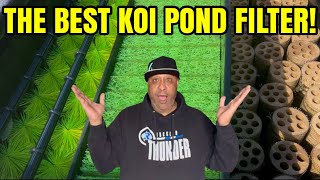 This Pond Filter is AMAZING!