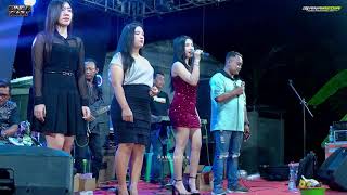 Download Lagu NEWLY BRIDE - ALL ARTISTS - SINGO PATI MUSIC - WEDDING SETYA NOVANTO \u0026 ULUL ANISA - KAYEN PATI MP3