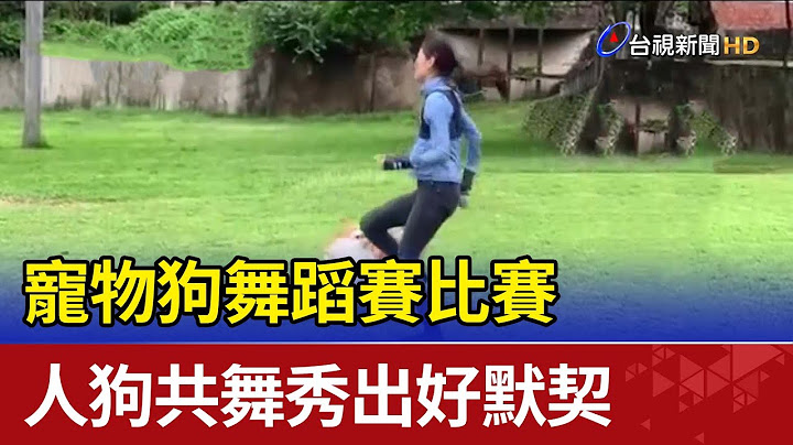 寵物狗舞蹈賽比賽 人狗共舞秀出好默契