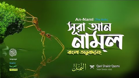 27) সূরা আন-নামল -Surah An-Naml _  سورة النمل পিপীলিকা   Qari Shakir Qasmi ▶ QURAN LAB বাংলা