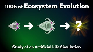 What will happen after 100h of evolution?  Study of natural selection in an ecosystem simulator