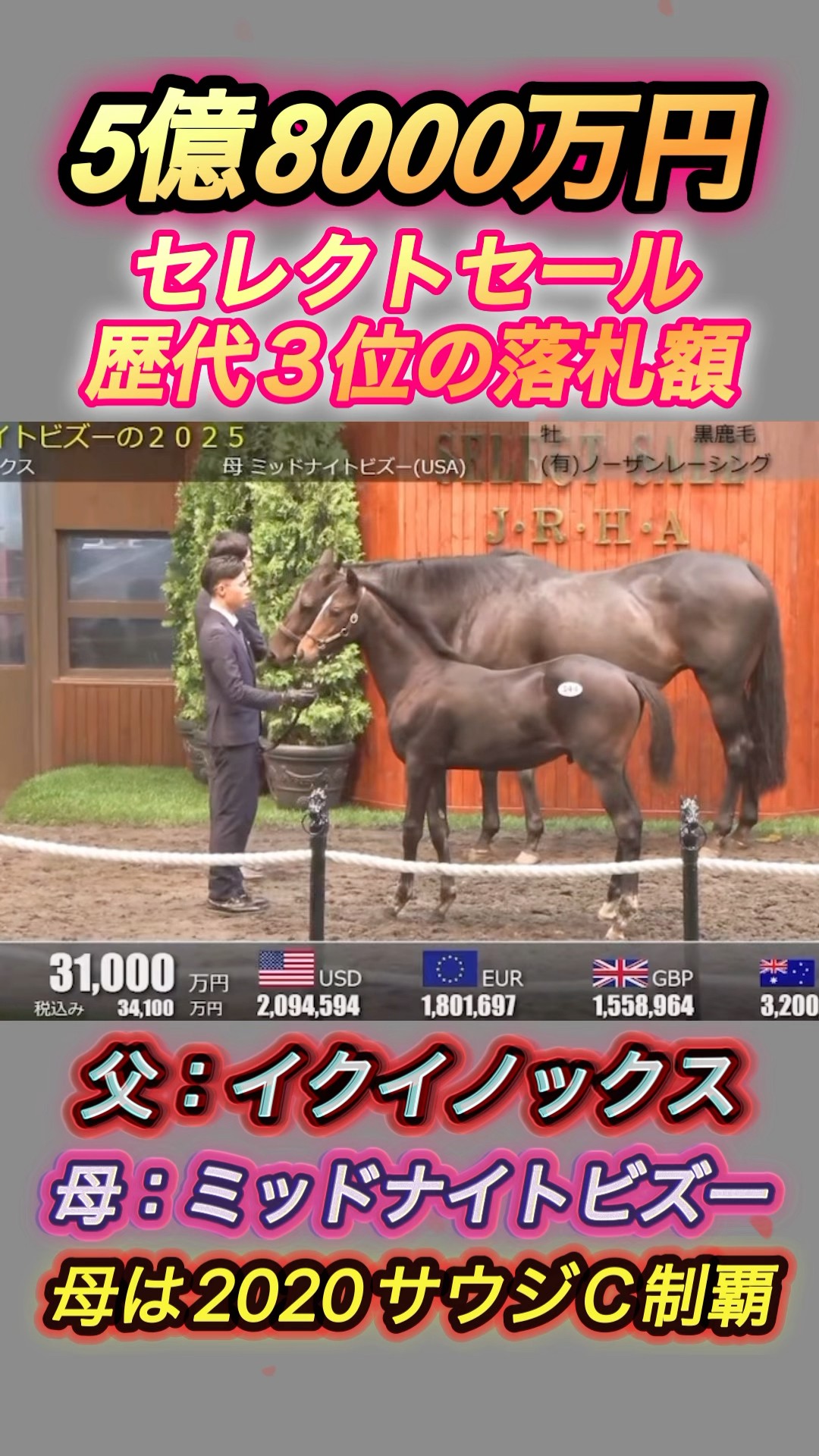 イクイノックス産駒がセレクトセール歴代3位の5億8000万で落札