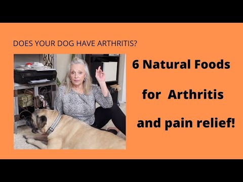 Videó: 4 természetes összetevő, amelyek segítik a kutyák ízületeinek ápolását és gyógyítását